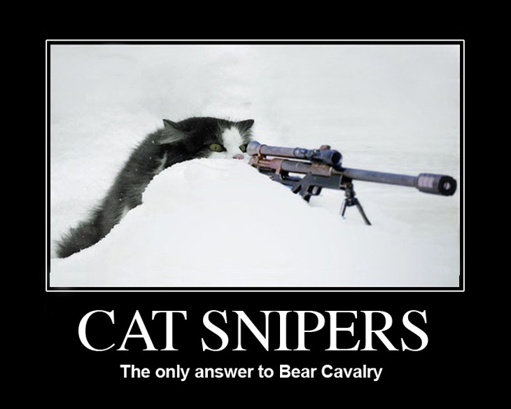 Cat Snipers
