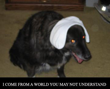 A World You May Not Understand