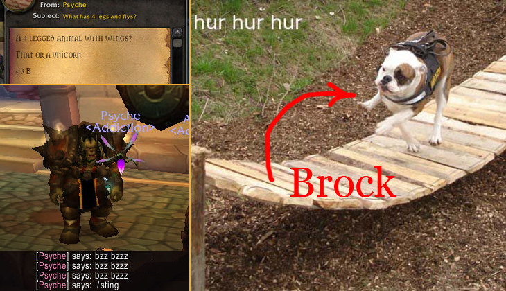 Brock: The Reality